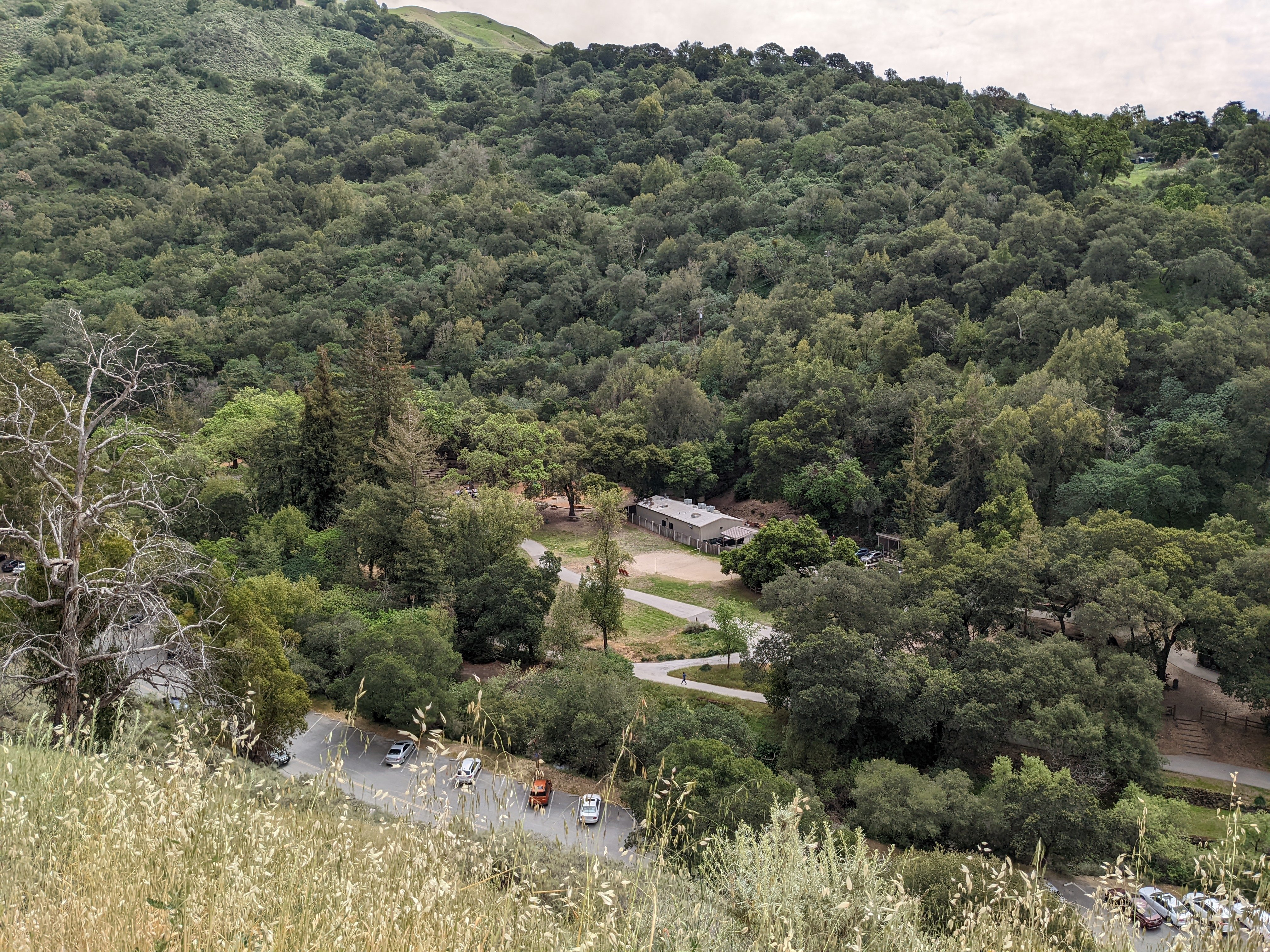 View overlooking the former site of the Natatorium